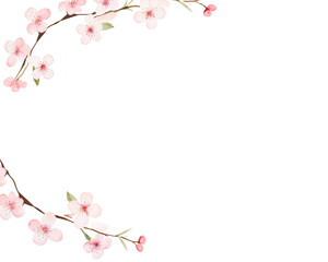 Cherry Blossoms Floral Border watercolor, Floral Frame, isolated white background