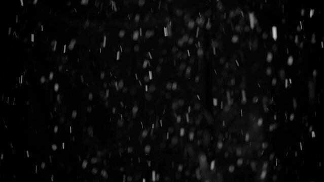 Snow on black background, falling snowflakes, snowing, natural snowfall backdrop for overlay effect.
