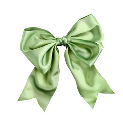 Green satin bow as a fashion accessory on transparent outerwear