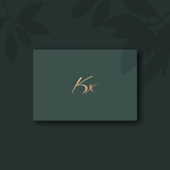 Kx logo design vector image