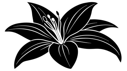 Exquisite Lily Flower Vector Art Captivating Designs for Your Creative Projects