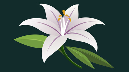 Exquisite Lily Flower Vector Art Captivating Designs for Your Creative Projects