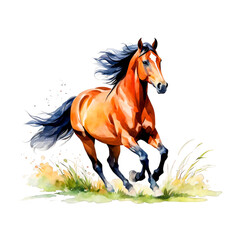 Horse trotting in pasture, horse running in field, watercolor illustration, wild animal, clipart for designing, posters, t-shirt design, animal lover, wall arts, cutout on white background, farm
