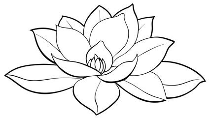 Captivating Magnolia Vector Art Elevate Your Designs with Stunning Floral Graphics
