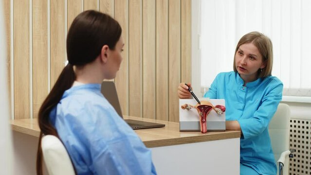A young female patient communicates with a gynecologist in a modern clinic. Preventive care, preparation for medical examination, preparation for pregnancy, gynecological control.