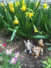 水仙とウサギとリス