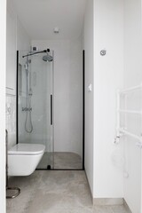 a bathroom with a toilet and a walk in shower