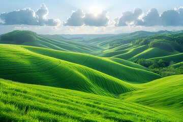 Fresh Spring Growth Covers the Rolling Hills in a Blanket of Green