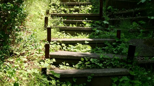 昔に作られた階段　
