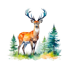 Deer in forest watercolor illustration, clipart, pine trees, wild animal, forest animal, for scrapbook, t shirt design, isolated on white background, animal lover, for kids story book, design element