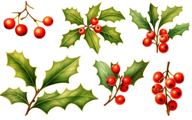 A vibrant bunch of holly leaves and berries arranged on a pristine white background