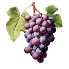 Fototapeta premium Gold trophy cup