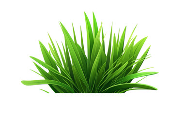 Close up of a vibrant green grass plant against a stark white background