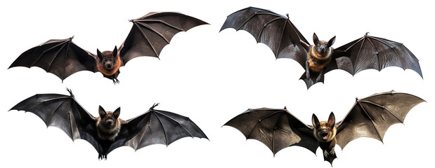 Fototapeta premium Set of flying black bats, cut out
