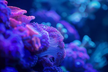 Fotobehang Coral reefs thriving through quantum computing solutions, underwater ecosystems saved © RetoricMedia