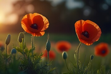 Beautiful nature background with red poppy flower poppy in the sunset in the field. Remembrance day, Veterans day, lest we forget concept. Generative AI - obrazy, fototapety, plakaty