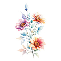 watercolor arrangements with small flower. Spring and summer Background, Botanical illustration minimal style