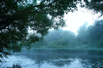 landscape with tree and river in morning fog, abstract natural background. beautiful atmosphere...
