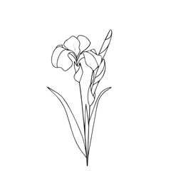 Irises in cartoon, doodle style . Image for t-shirt, web, mobile apps and ui. Isolated 2d vector illustration in logo, icon, sketch style, Eps 10, black and white. AI Generative