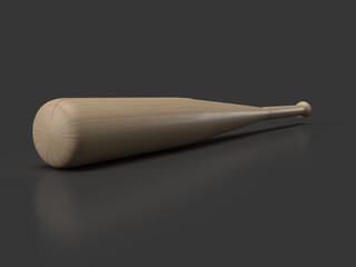 baseball bat