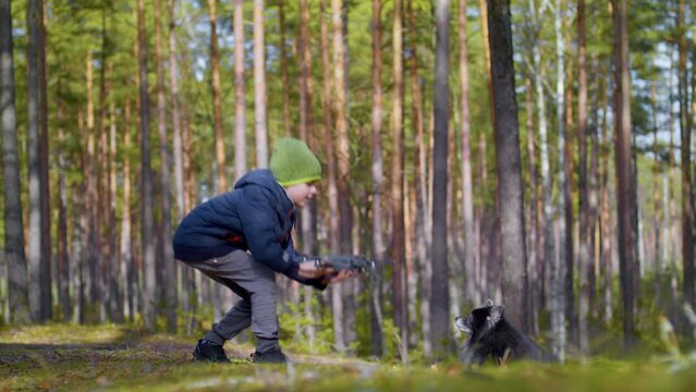 Cheerful child playing outdoors. A boy is preparing to launch a drone. Teenager with a pet on a walk. A little boy pets a dog. German Spitz with its owner for a walk.