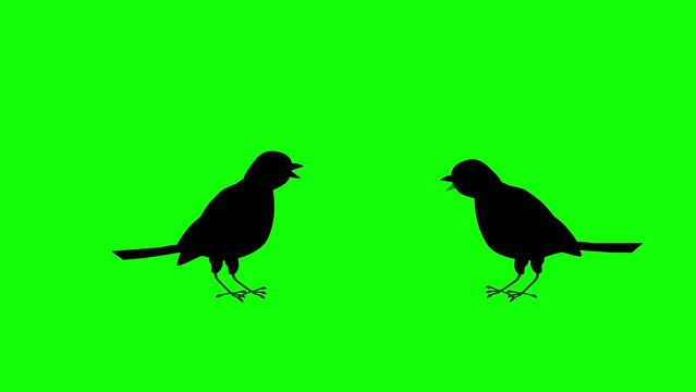 cartoon animation of  two little silhouettes of birds take turns pecking in green screen
