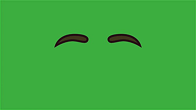 Loop video animation of a eyebrow moving on a green screen background 