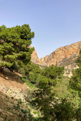 Fototapeta premium Caminito del Ray, The King's Path. Walkway pinned along the steep walls of a narrow gorge in El Chorro, Malaga, Spain