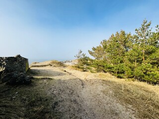 road to the mountain
