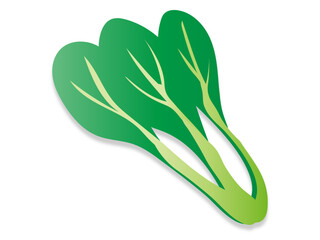 小松菜のイラスト