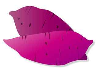 さつま芋のイラスト