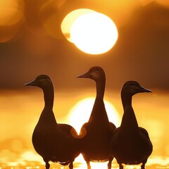 A flock of Indian Runner ducks waddling gracefully in unison across a sunlit meadow. 
