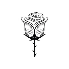 Beauty black rose line art logo design