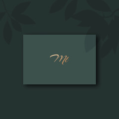 Mt logo design vector image