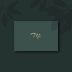 Mv logo design vector image