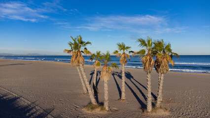 Idyllischer Strandparadies: Luftaufnahme eines leeren Strandes mit Palmen und Mittelmeer