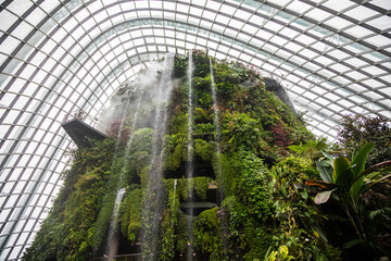Singapore Cloud Forest. The famous rainforest under the dome © Andrei Pozharskiy