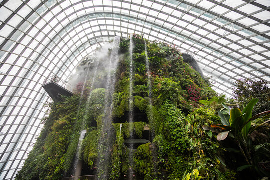 Singapore Cloud Forest. The famous rainforest under the dome