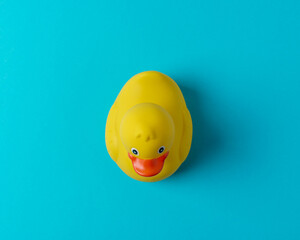 Yellow rubber duck on blue background. Summer minimal concept.