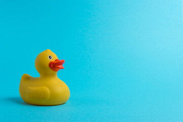 Yellow rubber duck on blue background. Summer minimal concept.