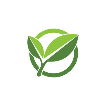 leaf's logo icon vector illustration template design