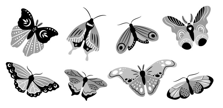 Beautiful butterflies of different shapes on white background. Vector black and white set of illustrations for the design of packaging, cards, patterns.
