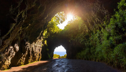 Sunlit entrance to the lava tunnel Gruta das Torres with trees and glowing treetops, located on...