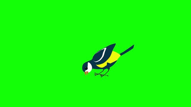 4k animtion of tit bird cartoon in green screen