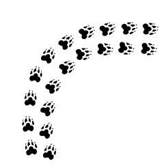 Pet paw print foot trail. Hand drawn, modern calligraphy, line on white background, isolated vector illustration.