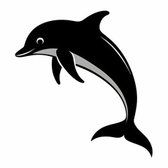 Graceful Dolphin: Vector Illustration Isolated on White Background