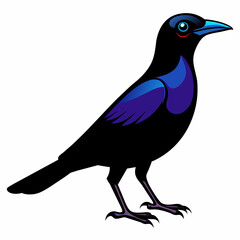 Mysterious Crow: Vector Silhouette Against White Background