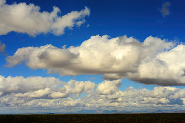 Fototapeta na wymiar Central Sonora Desert Arizona