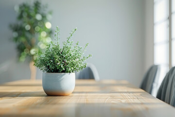 Close-up view of the dining table in the dining area of a minimalist loft, with a plant accent. A small potted plant is placed on the wooden table, adding a touch of greenery to the space. 