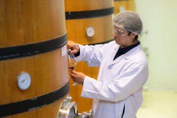 Mature male researchers and developers working in winery, Testing wine that has been fermented for...